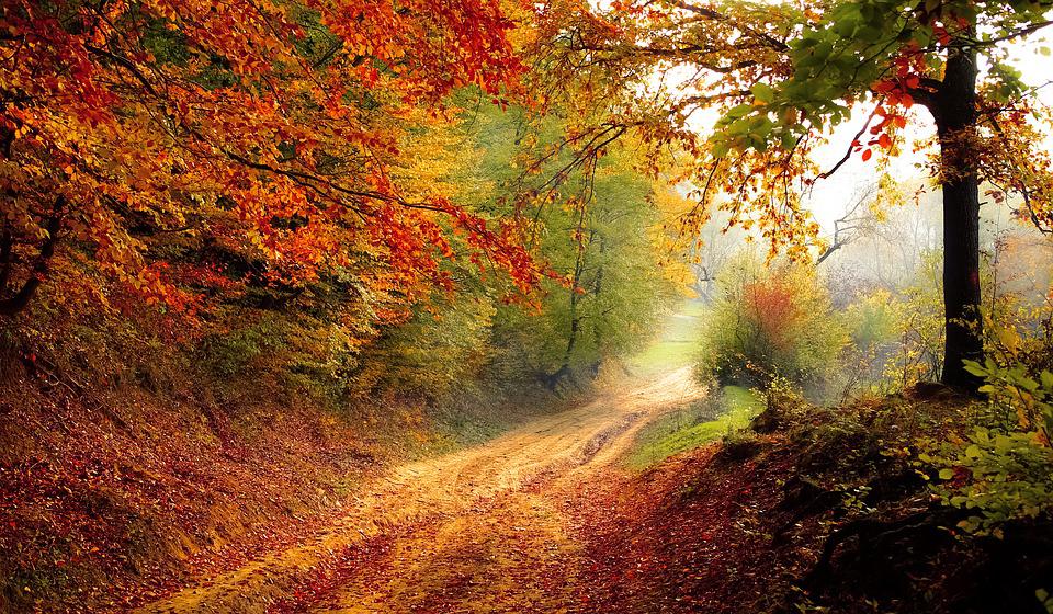 Fotografia jesienna – kilka cennych rad