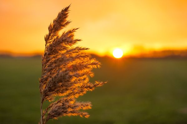 Rozważasz zakup nowego aparatu? Sprawdź co warto wiedzieć